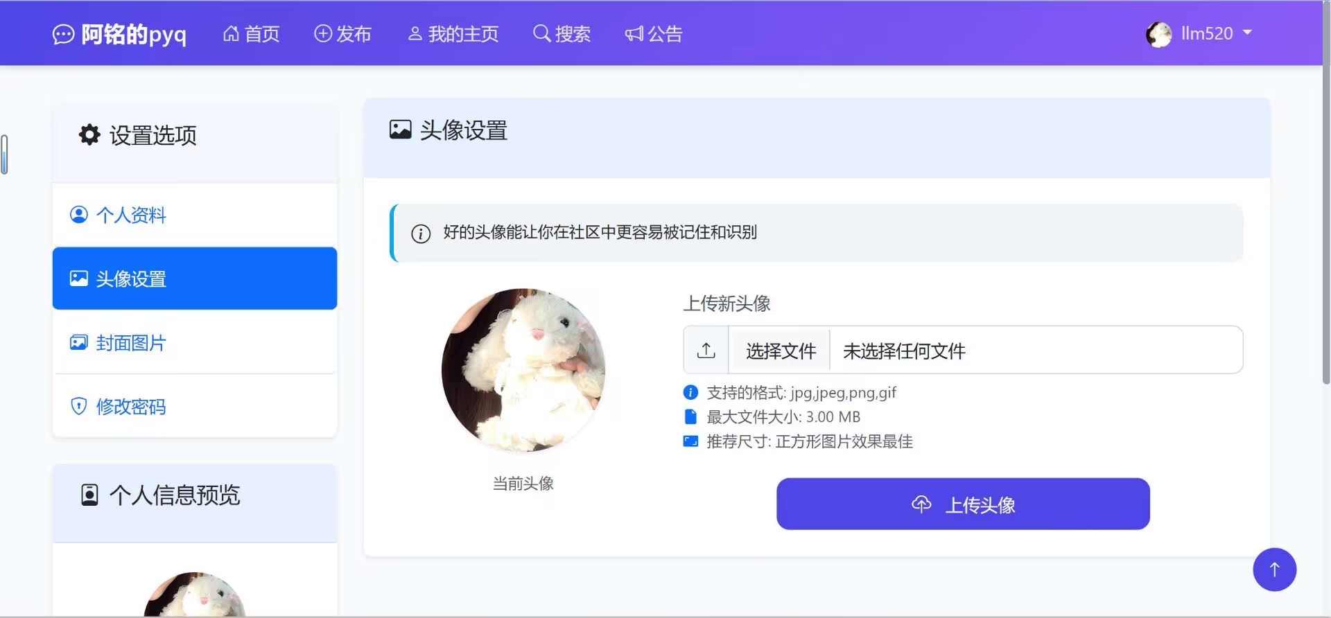 pyq5.jpg