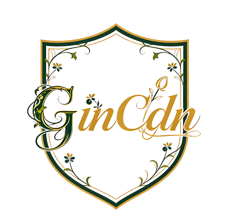 如何用宝塔运维面板部署搭建GinCdn内容分发系统主控端